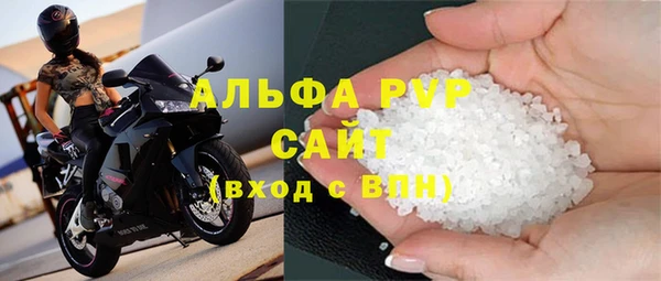 сатива Алзамай