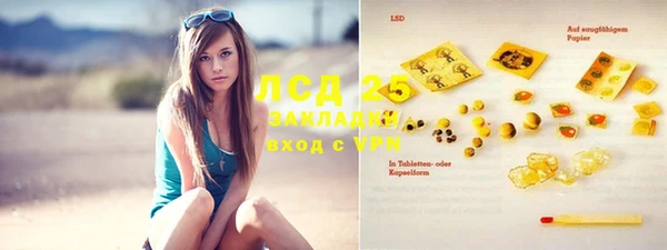 сатива Алзамай