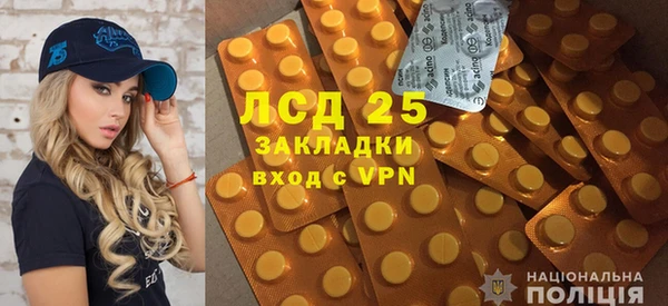 сатива Алзамай