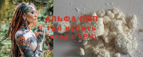 сатива Алзамай
