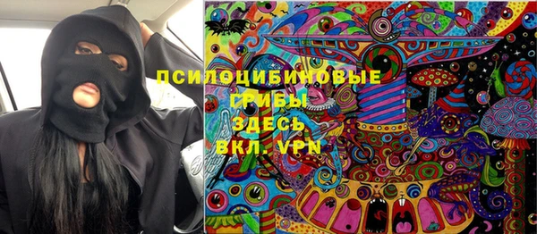 сатива Алзамай