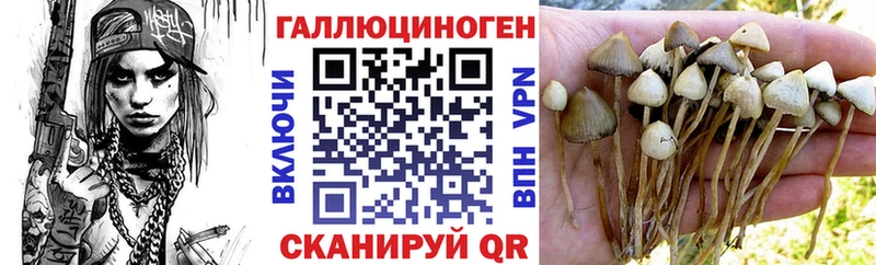 Галлюциногенные грибы прущие грибы  Белоозёрский 