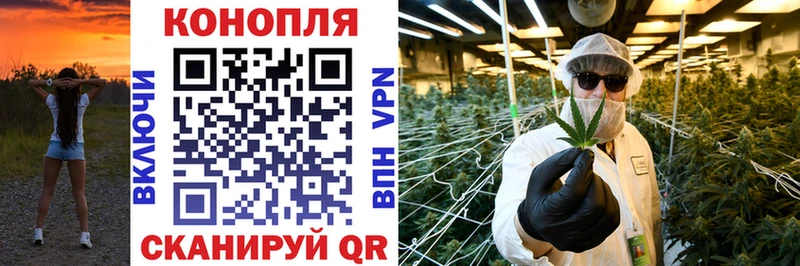 Бошки марихуана OG Kush  купить   Белоозёрский 
